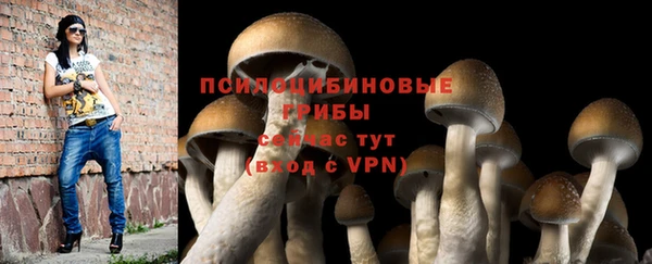 стаф Армянск