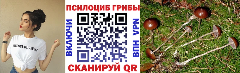 Псилоцибиновые грибы мицелий  Ступино 